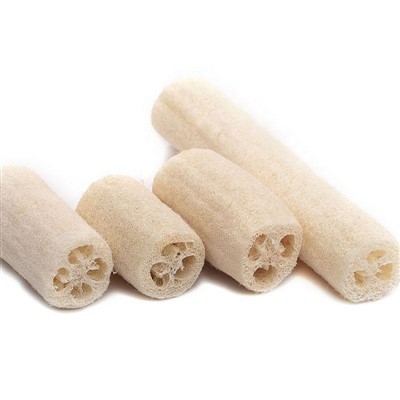 Span Dapur Loofah Asli